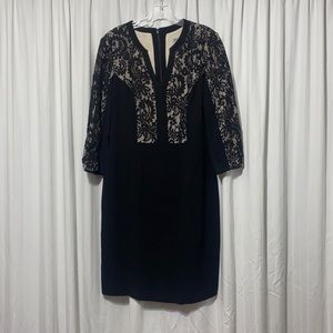 Eliza J Black Fitted Dress with Lace